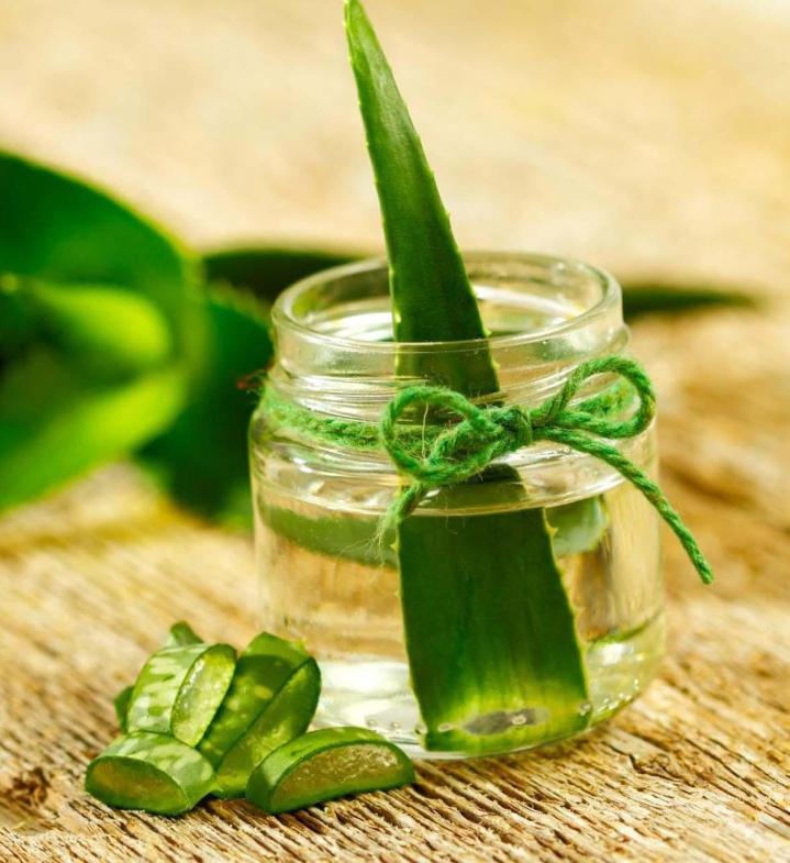 Vente de produits à l'aloe vera Pont-l'Évêque